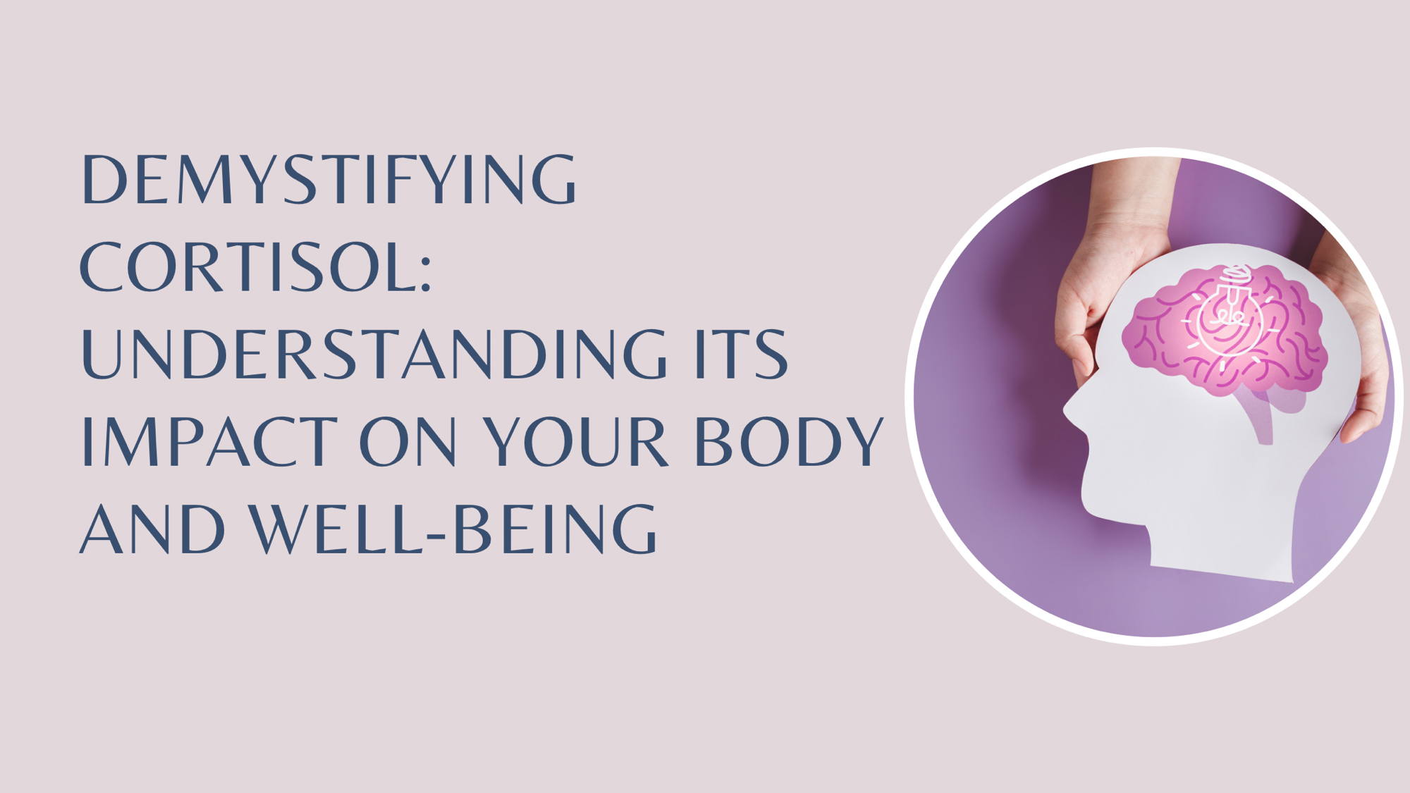 Understanding Cortisol and its Impact on Your Body and Weight – Jersey Girl Talk